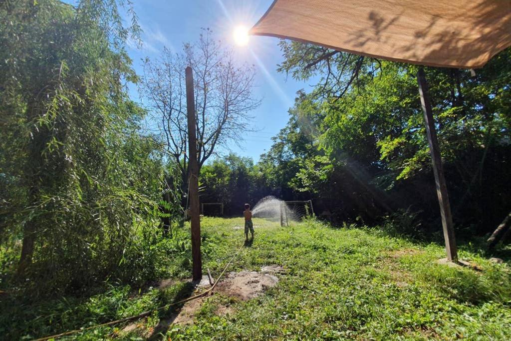 Szentendrei sziget, modern faház, télen is Szigetmonostor Exterior foto